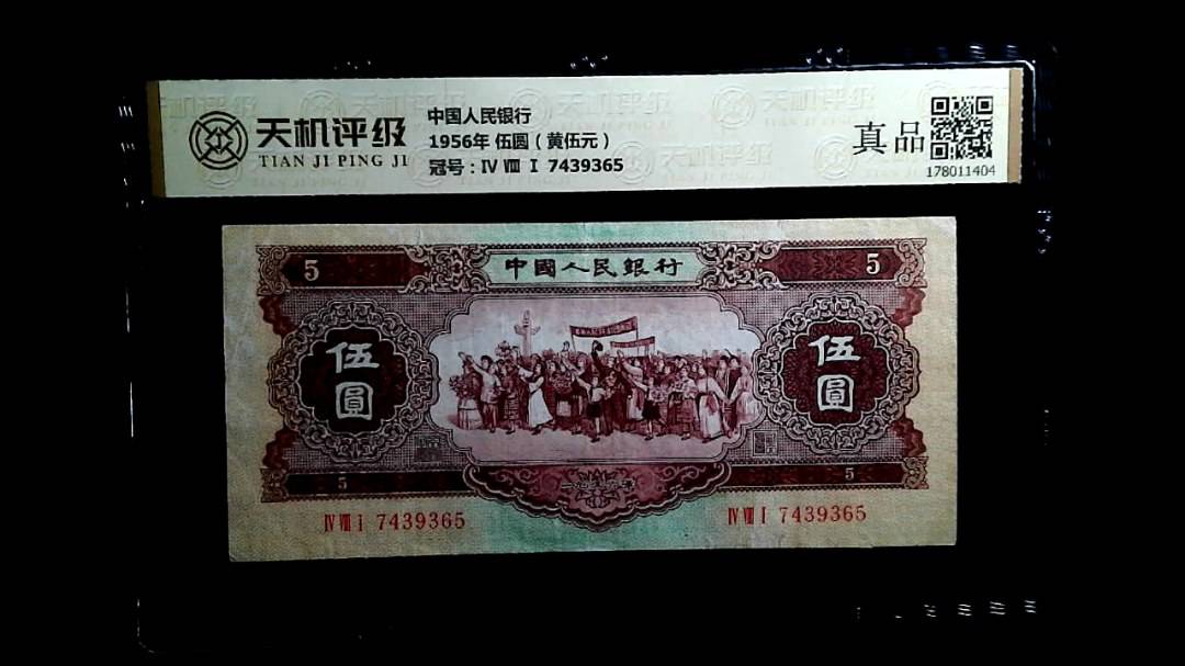 中国人民银行1956年 伍圆（黄伍元），冠号Ⅳ Ⅷ Ⅰ 7439365，纸币，钱币收藏