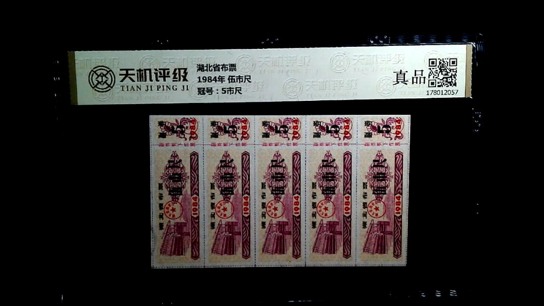 湖北省布票1984年 伍市尺，冠号5市尺，纸币，钱币收藏