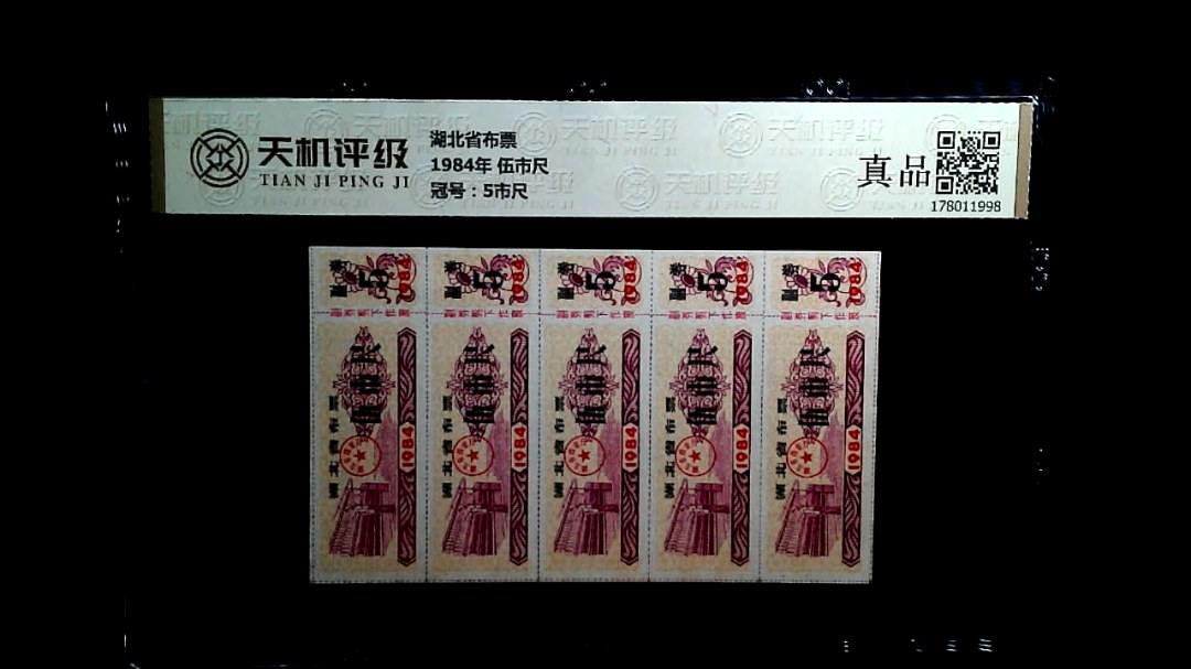 湖北省布票1984年 伍市尺，冠号5市尺，纸币，钱币收藏