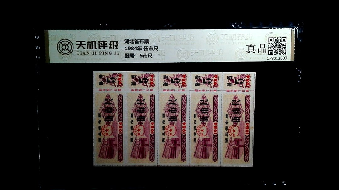 湖北省布票1984年 伍市尺，冠号5市尺，纸币，钱币收藏
