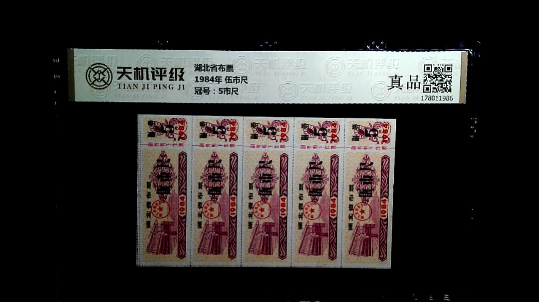 湖北省布票1984年 伍市尺，冠号5市尺，纸币，钱币收藏