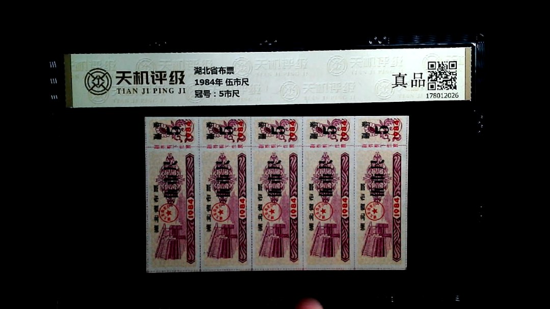 湖北省布票1984年 伍市尺，冠号5市尺，纸币，钱币收藏