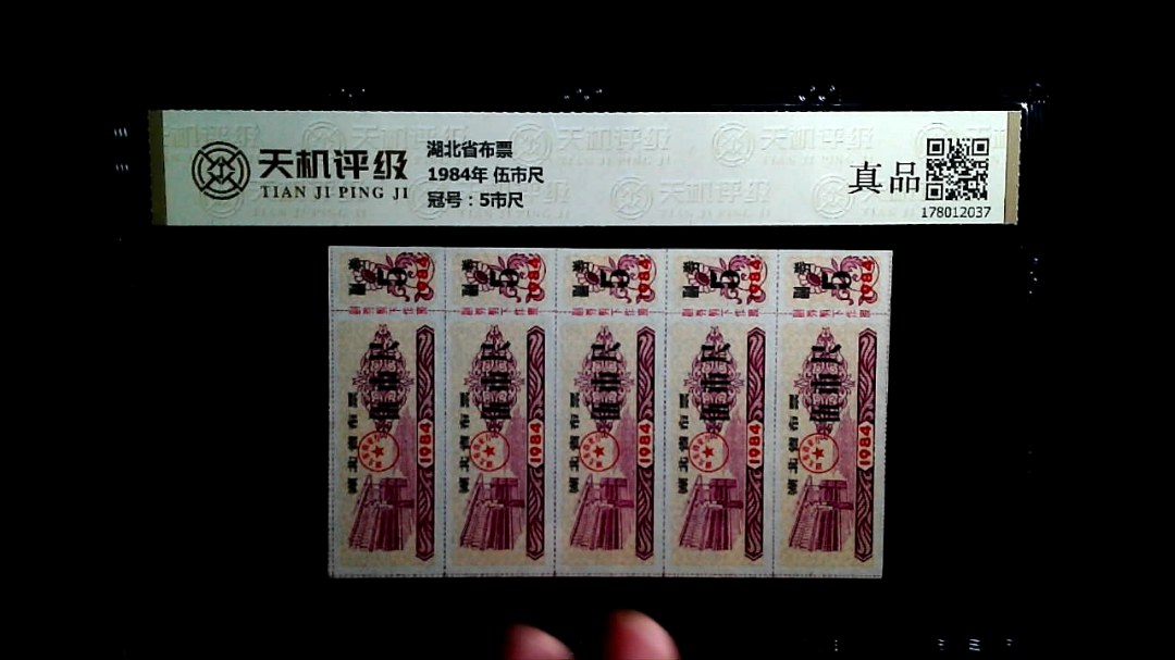 湖北省布票1984年 伍市尺，冠号5市尺，纸币，钱币收藏