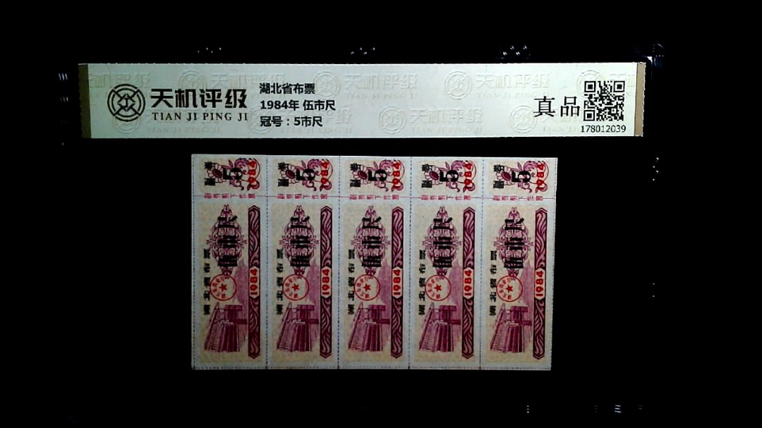 湖北省布票1984年 伍市尺，冠号5市尺，纸币，钱币收藏