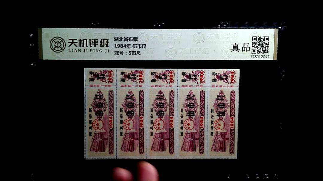 湖北省布票1984年 伍市尺，冠号5市尺，纸币，钱币收藏