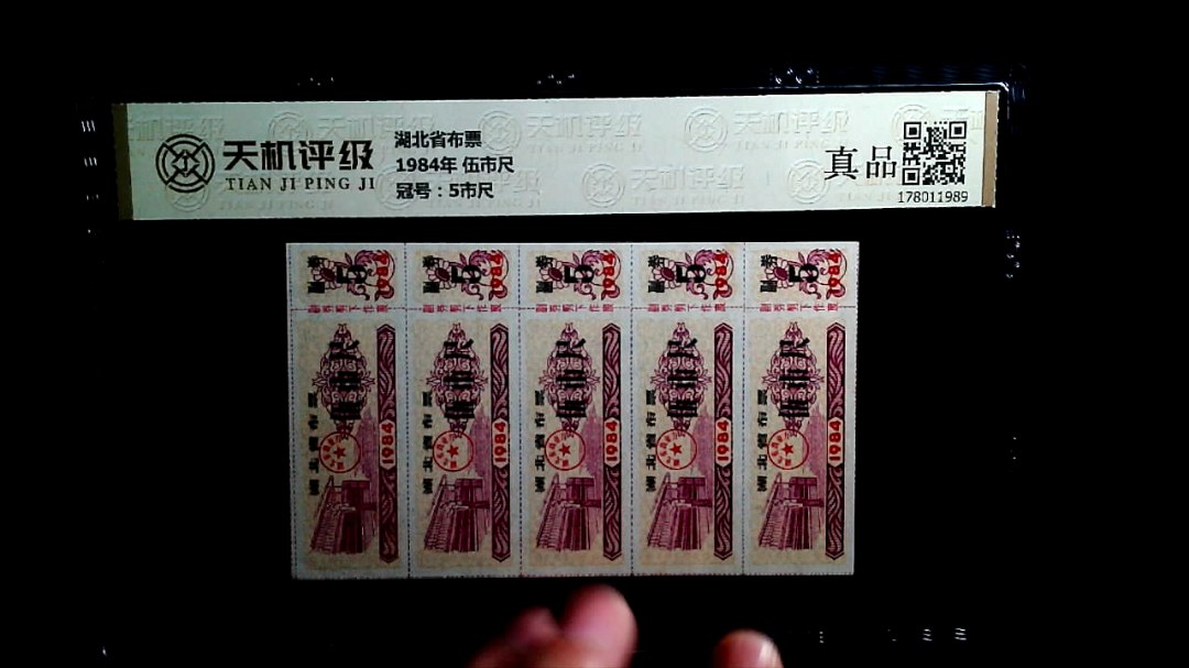 湖北省布票1984年 伍市尺，冠号5市尺，纸币，钱币收藏