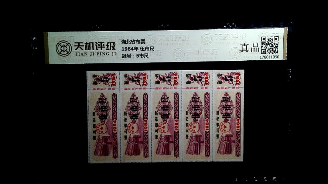 湖北省布票1984年 伍市尺，冠号5市尺，纸币，钱币收藏