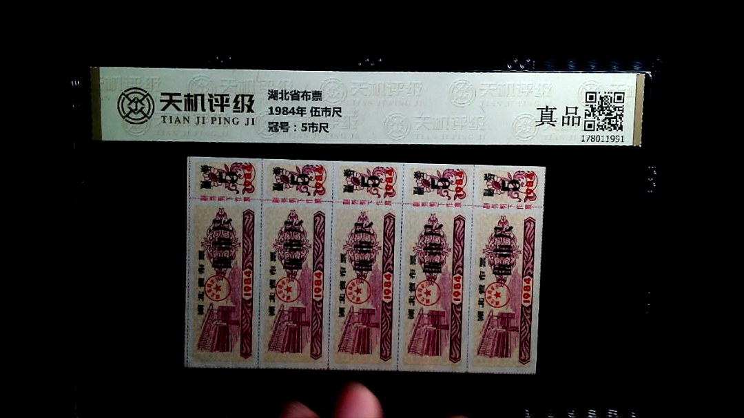 湖北省布票1984年 伍市尺，冠号5市尺，纸币，钱币收藏
