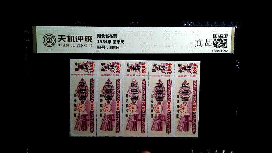 湖北省布票1984年 伍市尺，冠号5市尺，纸币，钱币收藏