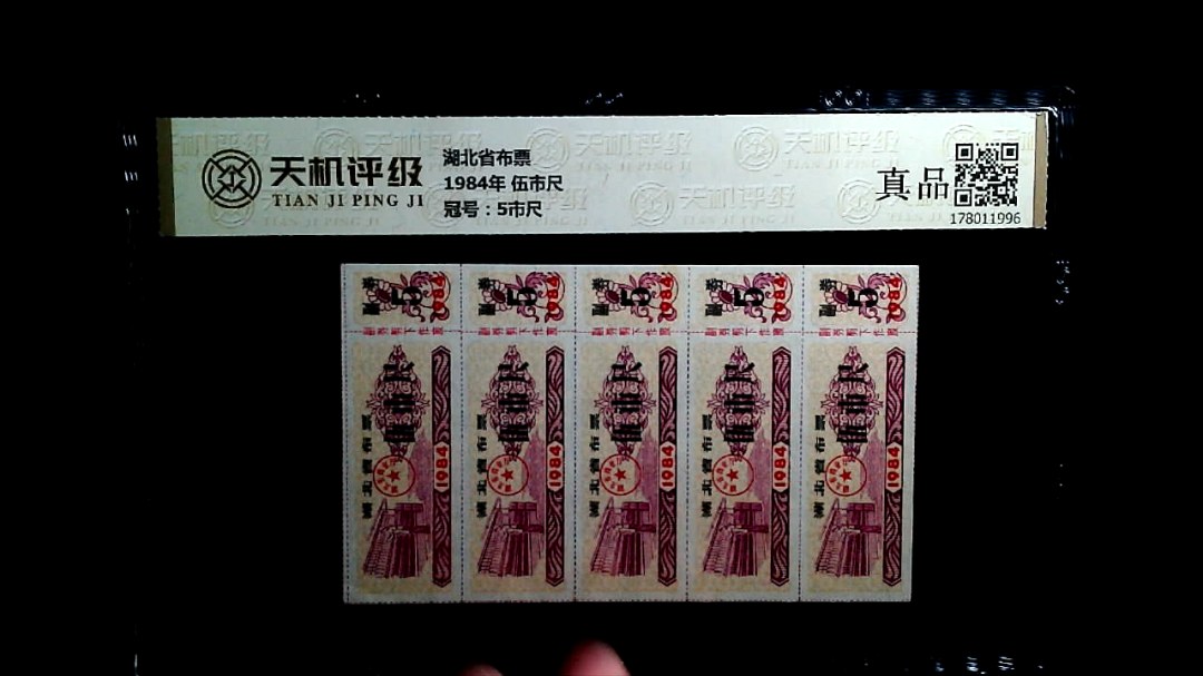 湖北省布票1984年 伍市尺，冠号5市尺，纸币，钱币收藏