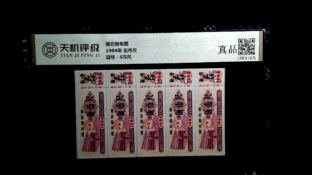 湖北省布票1984年 伍市尺，冠号5市尺，纸币，钱币收藏
