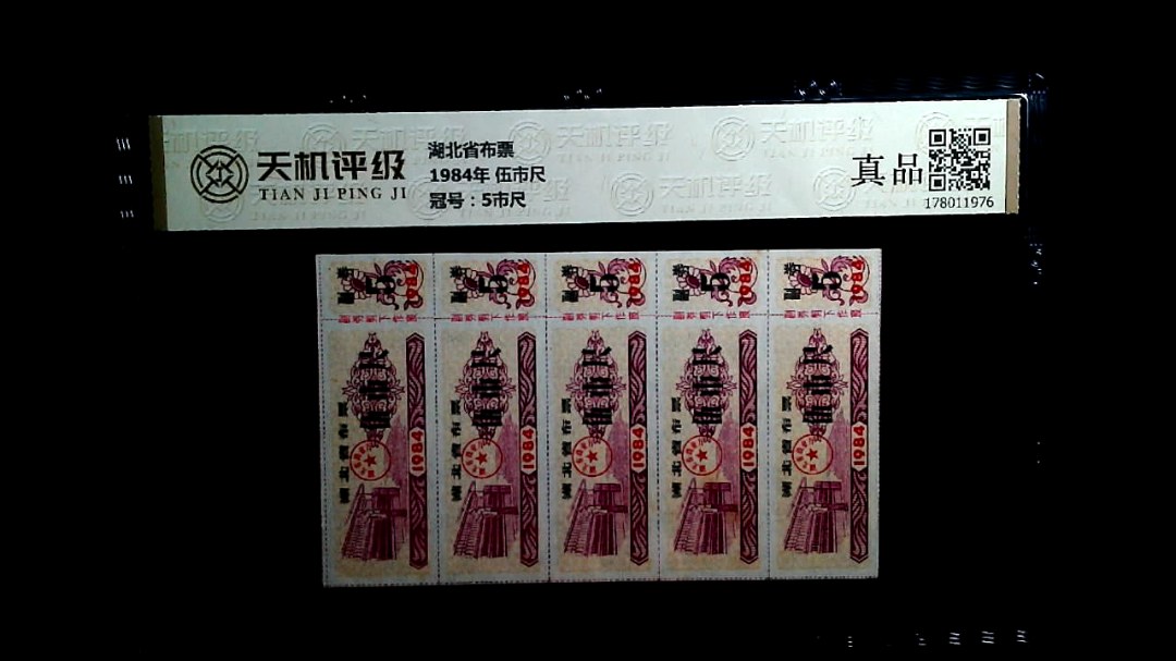 湖北省布票1984年 伍市尺，冠号5市尺，纸币，钱币收藏