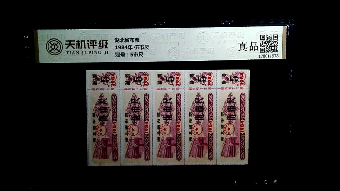 湖北省布票1984年 伍市尺，冠号5市尺，纸币，钱币收藏