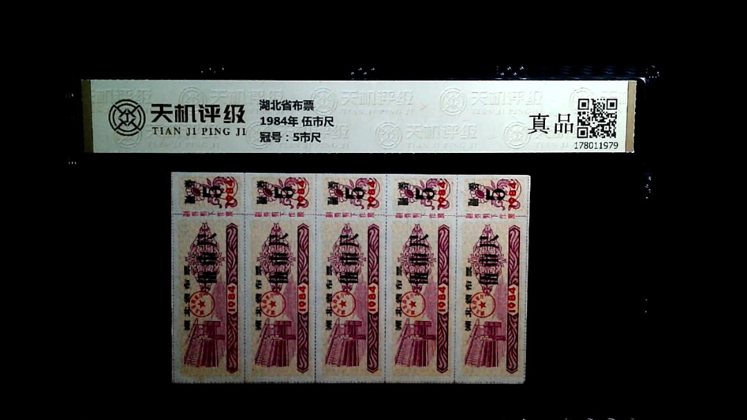 湖北省布票1984年 伍市尺，冠号5市尺，纸币，钱币收藏