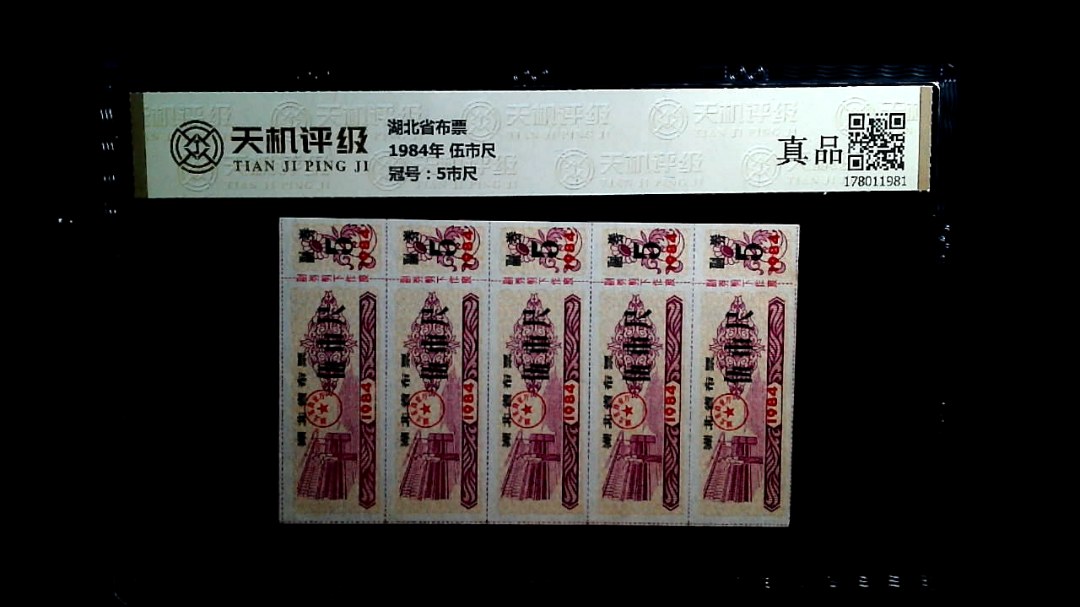 湖北省布票1984年 伍市尺，冠号5市尺，纸币，钱币收藏