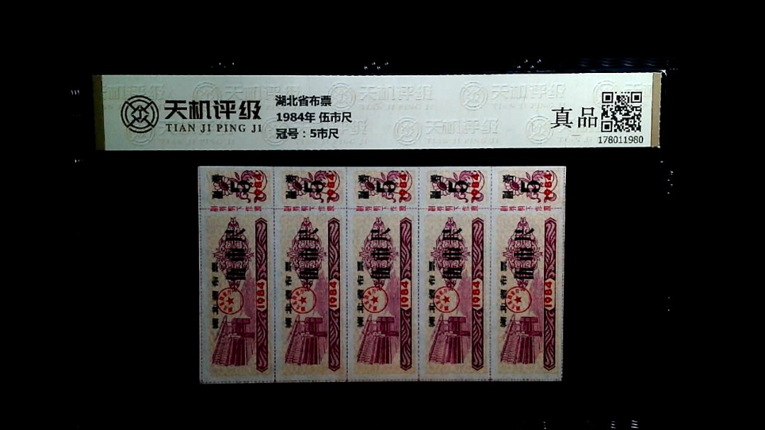 湖北省布票1984年 伍市尺，冠号5市尺，纸币，钱币收藏