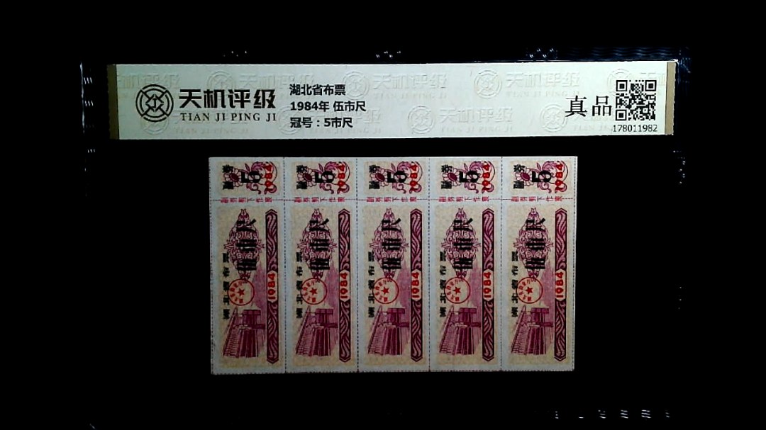 湖北省布票1984年 伍市尺，冠号5市尺，纸币，钱币收藏