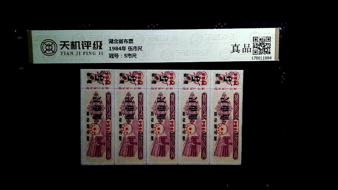 湖北省布票1984年 伍市尺，冠号5市尺，纸币，钱币收藏