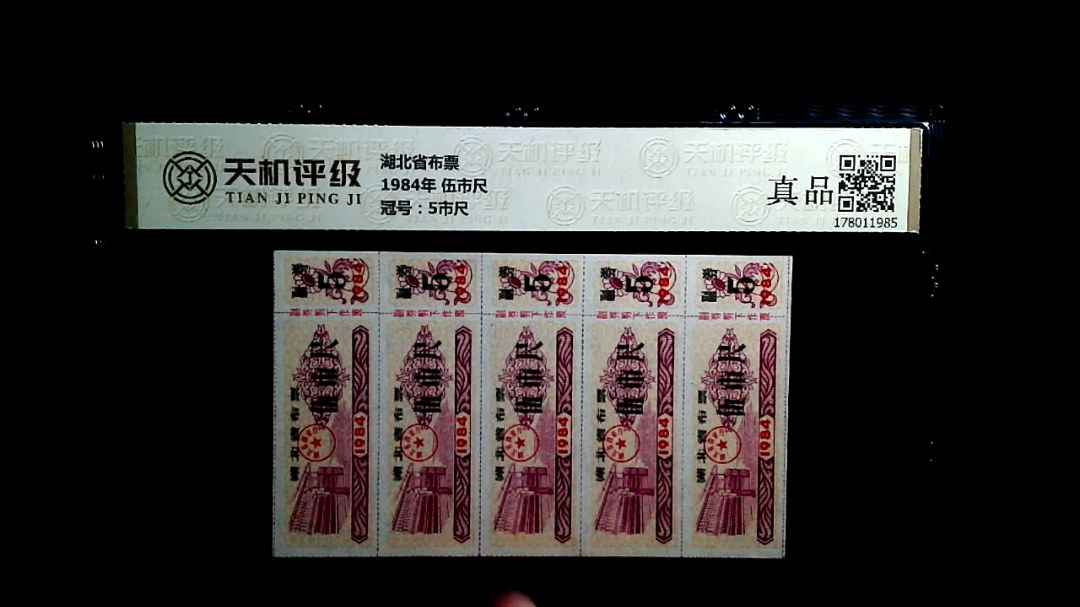 湖北省布票1984年 伍市尺，冠号5市尺，纸币，钱币收藏