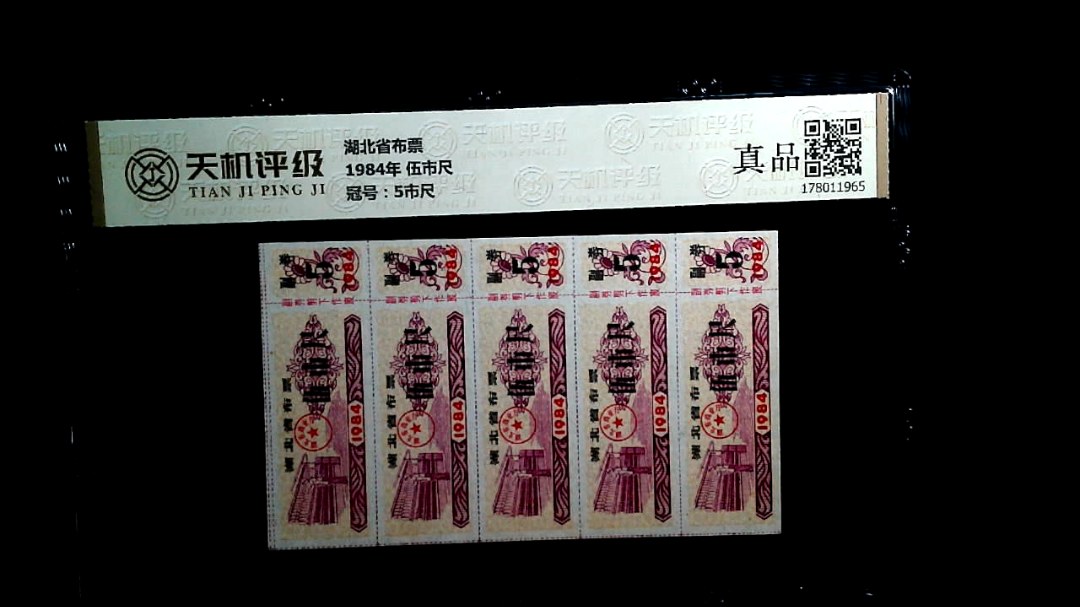 湖北省布票1984年 伍市尺，冠号5市尺，纸币，钱币收藏
