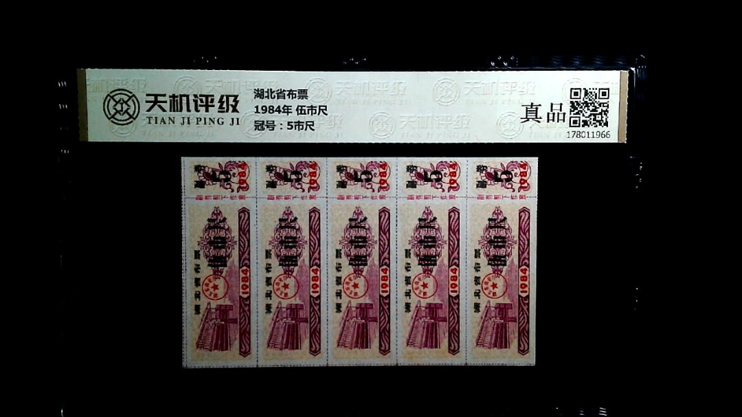 湖北省布票1984年 伍市尺，冠号5市尺，纸币，钱币收藏