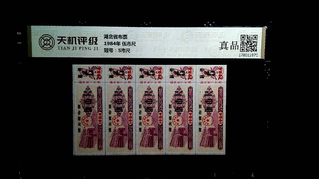 湖北省布票1984年 伍市尺，冠号5市尺，纸币，钱币收藏