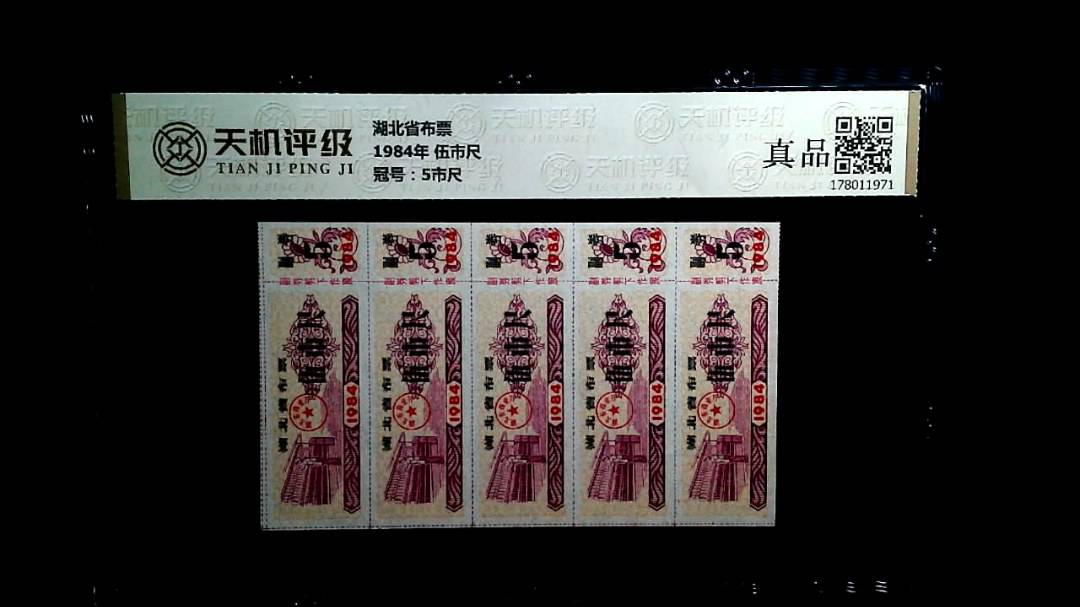 湖北省布票1984年 伍市尺，冠号5市尺，纸币，钱币收藏