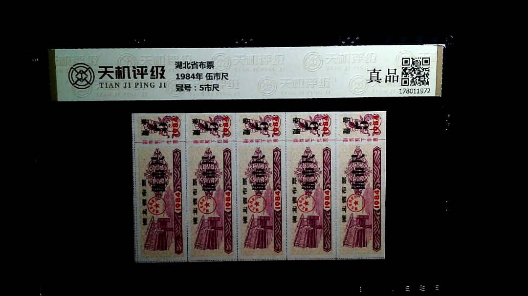湖北省布票1984年 伍市尺，冠号5市尺，纸币，钱币收藏