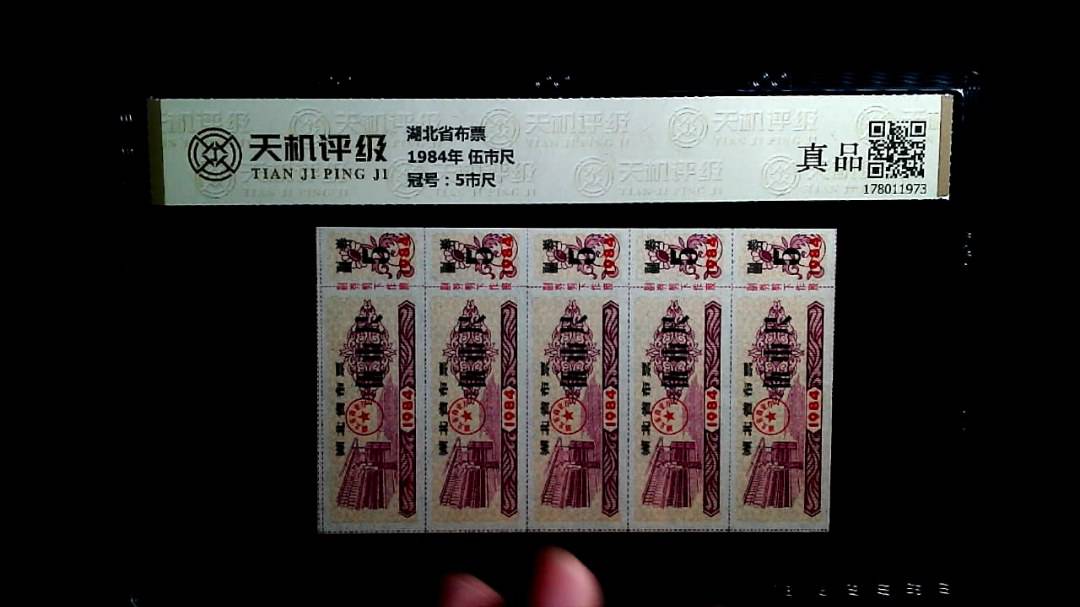 湖北省布票1984年 伍市尺，冠号5市尺，纸币，钱币收藏