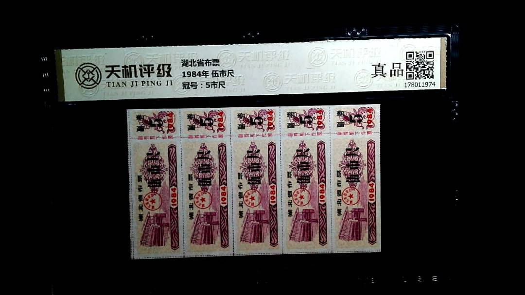 湖北省布票1984年 伍市尺，冠号5市尺，纸币，钱币收藏