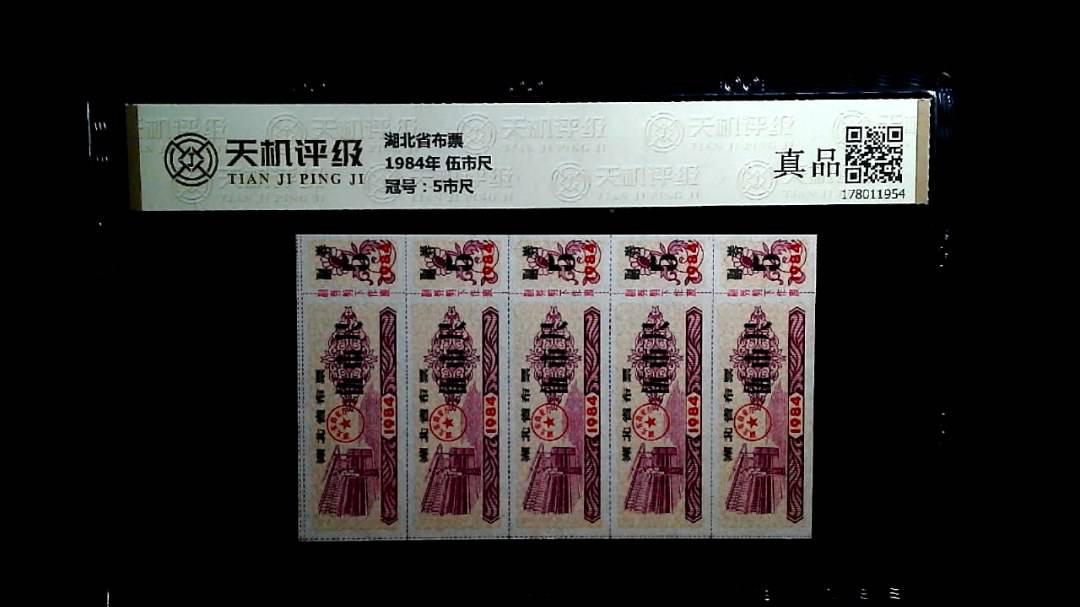 湖北省布票1984年 伍市尺，冠号5市尺，纸币，钱币收藏
