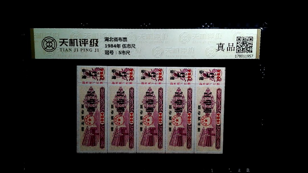 湖北省布票1984年 伍市尺，冠号5市尺，纸币，钱币收藏