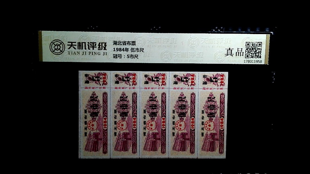 湖北省布票1984年 伍市尺，冠号5市尺，纸币，钱币收藏