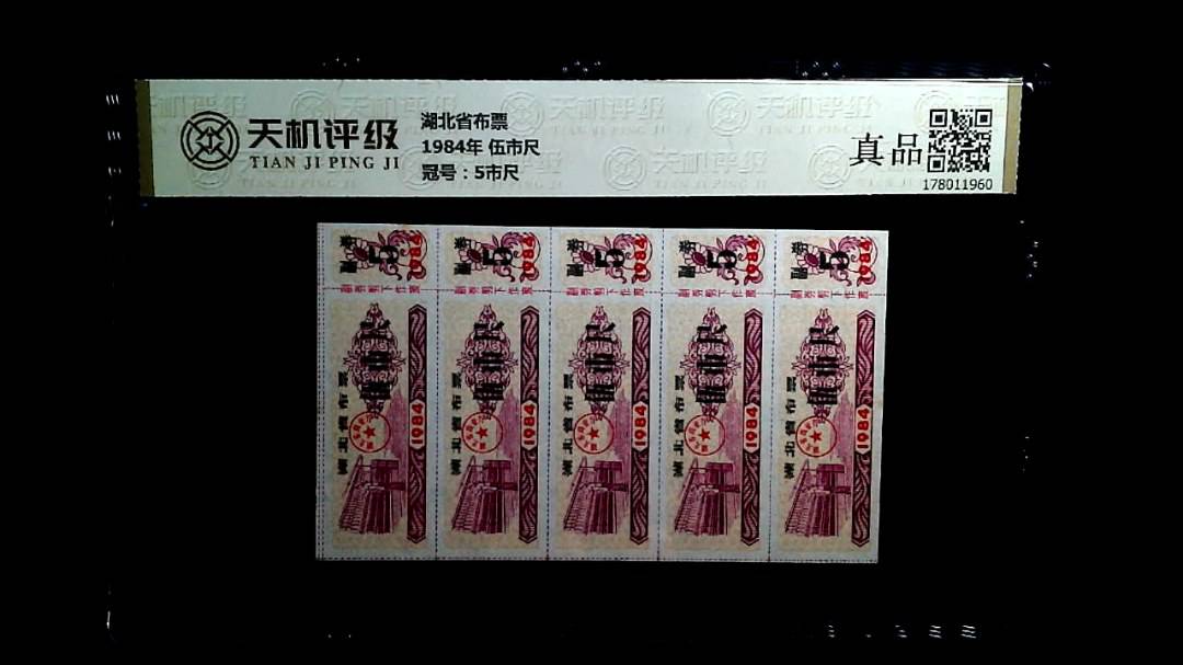 湖北省布票1984年 伍市尺，冠号5市尺，纸币，钱币收藏