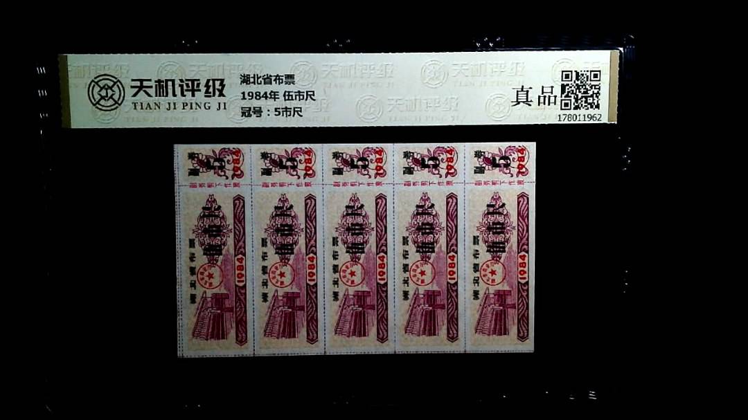 湖北省布票1984年 伍市尺，冠号5市尺，纸币，钱币收藏