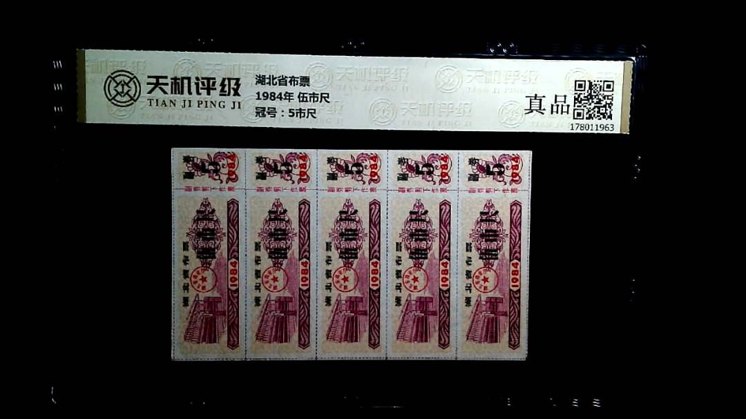 湖北省布票1984年 伍市尺，冠号5市尺，纸币，钱币收藏