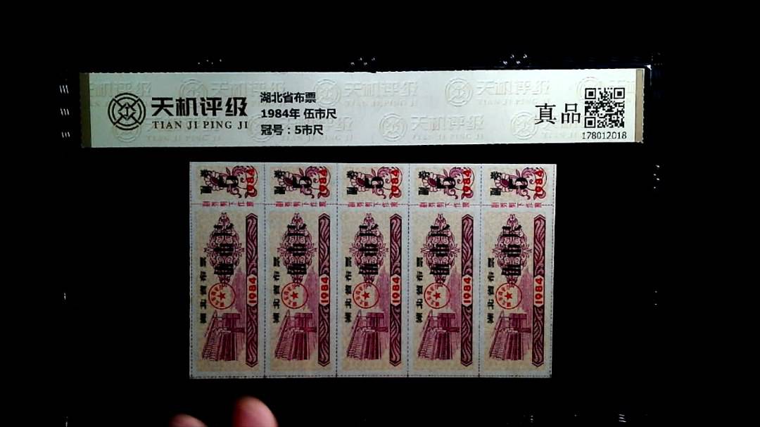 湖北省布票1984年 伍市尺，冠号5市尺，纸币，钱币收藏