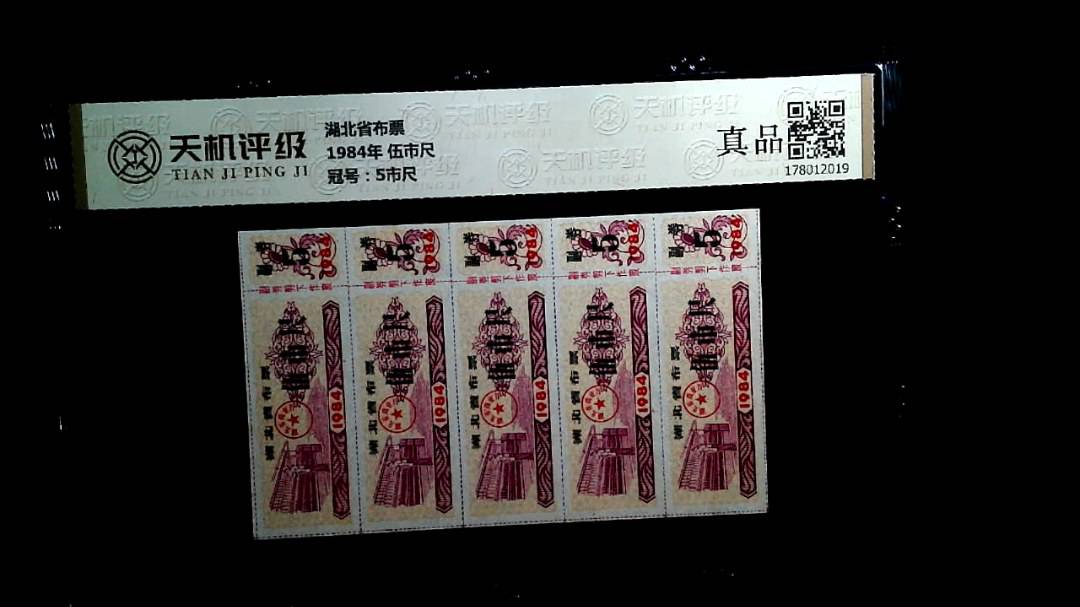 湖北省布票1984年 伍市尺，冠号5市尺，纸币，钱币收藏