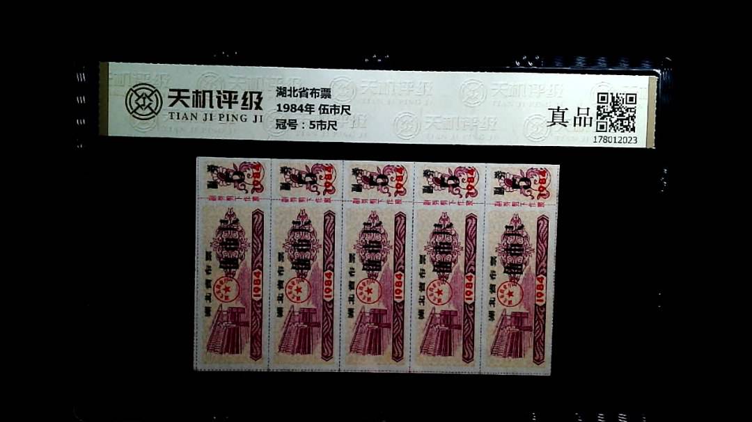 湖北省布票1984年 伍市尺，冠号5市尺，纸币，钱币收藏