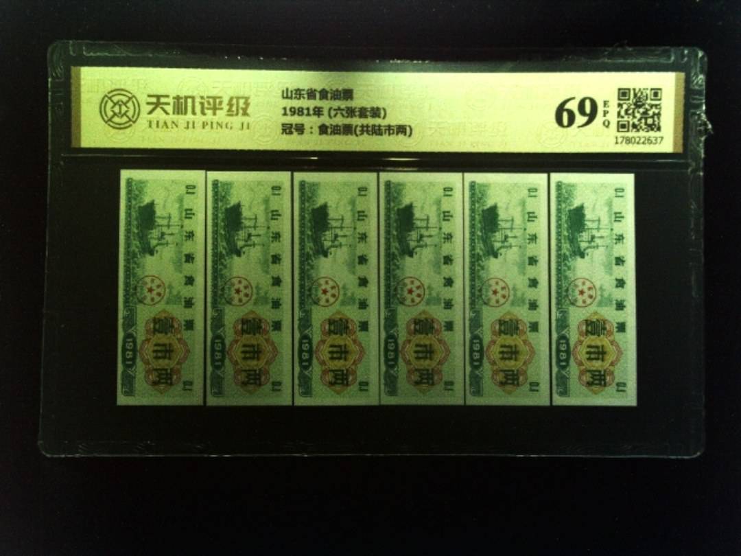 山东省食油票1981年 (六张套装)，冠号食油票(共陆市两)，纸币，钱币收藏