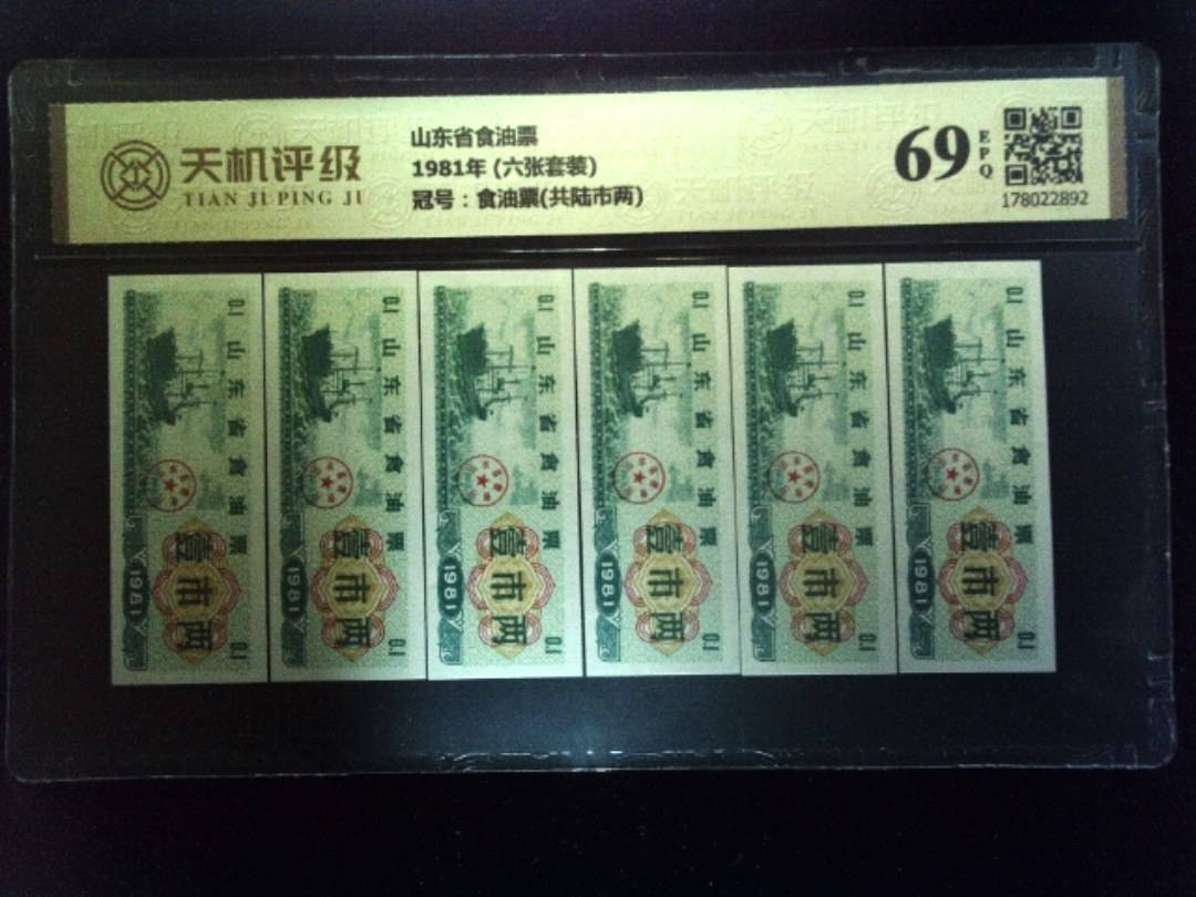 山东省食油票1981年 (六张套装)，冠号食油票(共陆市两)，纸币，钱币收藏