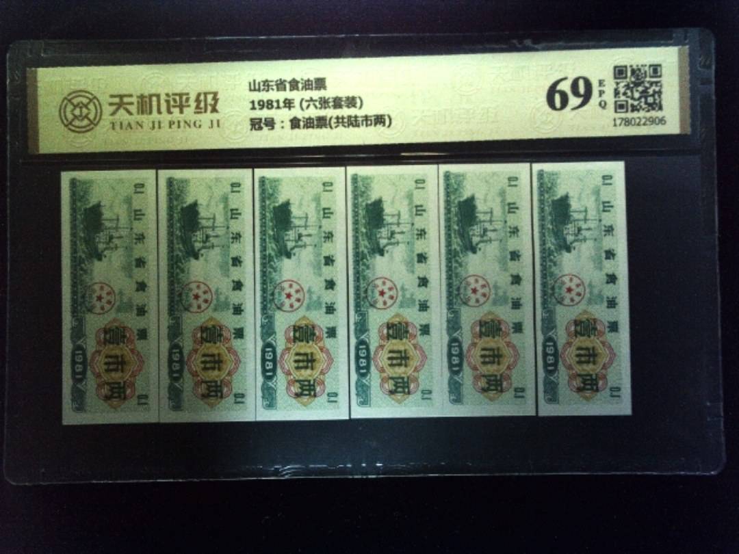 山东省食油票1981年 (六张套装)，冠号食油票(共陆市两)，纸币，钱币收藏