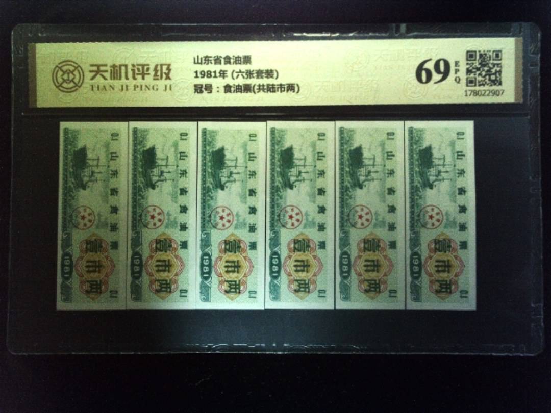 山东省食油票1981年 (六张套装)，冠号食油票(共陆市两)，纸币，钱币收藏