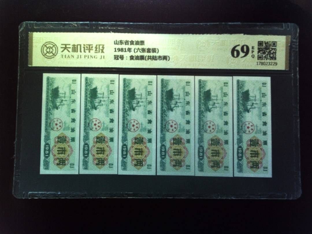 山东省食油票1981年 (六张套装)，冠号食油票(共陆市两)，纸币，钱币收藏