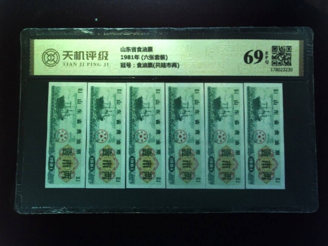 山东省食油票1981年 (六张套装)，冠号食油票(共陆市两)，纸币，钱币收藏