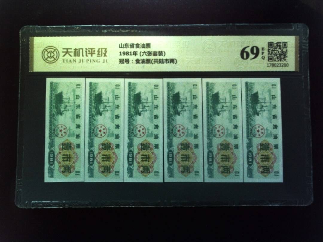 山东省食油票1981年 (六张套装)，冠号食油票(共陆市两)，纸币，钱币收藏