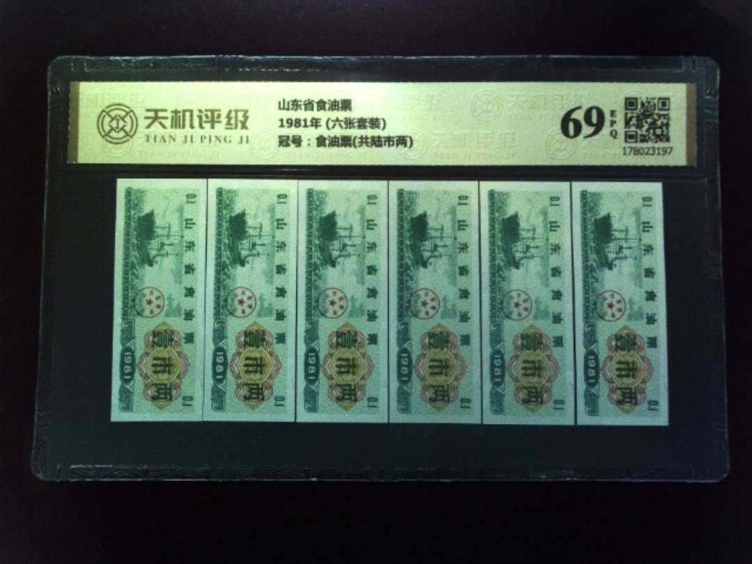 山东省食油票1981年 (六张套装)，冠号食油票(共陆市两)，纸币，钱币收藏
