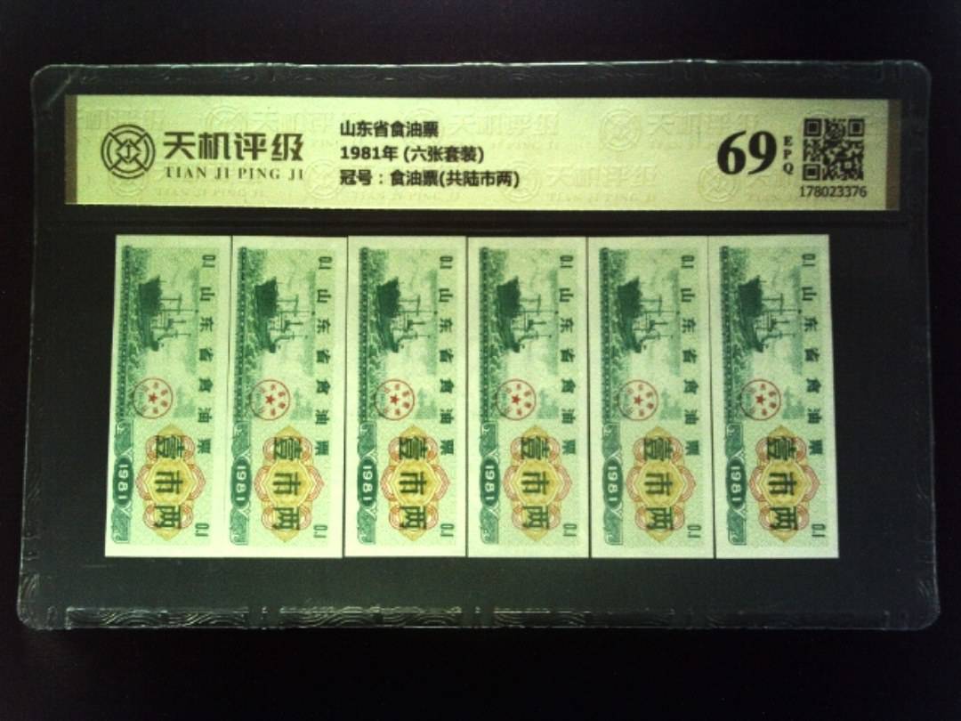 山东省食油票1981年 (六张套装)，冠号食油票(共陆市两)，纸币，钱币收藏