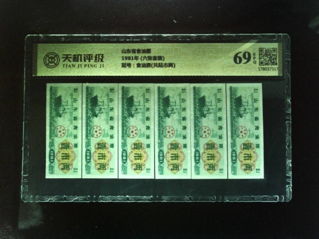 山东省食油票1981年 (六张套装)，冠号食油票(共陆市两)，纸币，钱币收藏