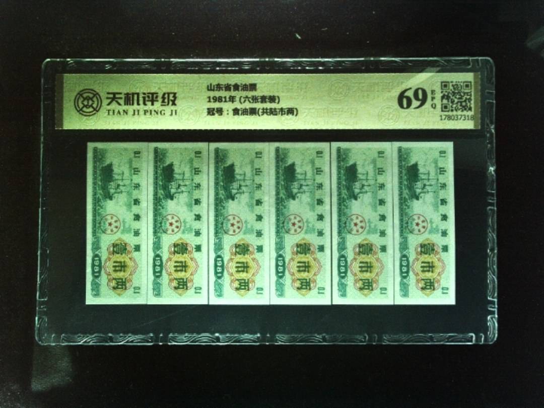 山东省食油票1981年 (六张套装)，冠号食油票(共陆市两)，纸币，钱币收藏